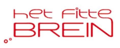 het fitt brein.JPG