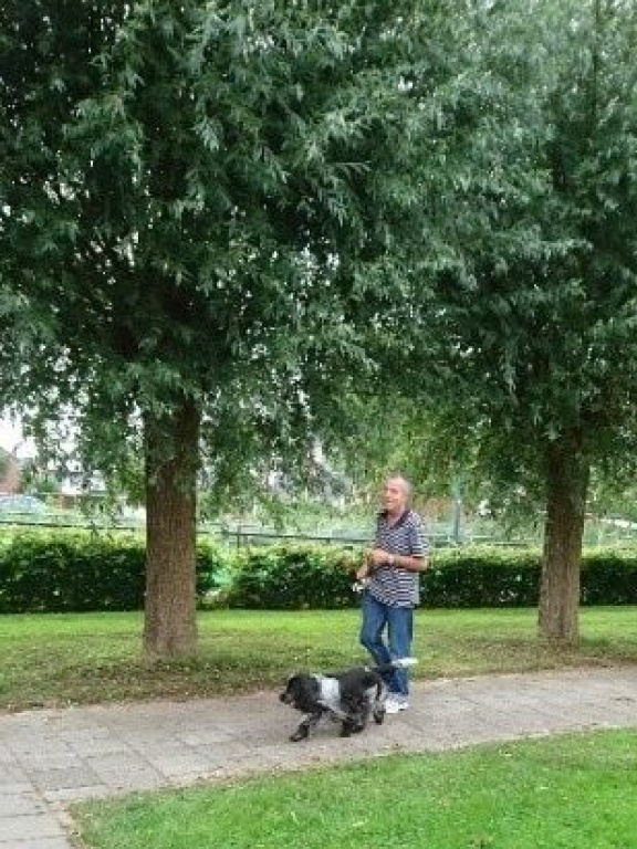 Maarten Stiggelbout.jpg