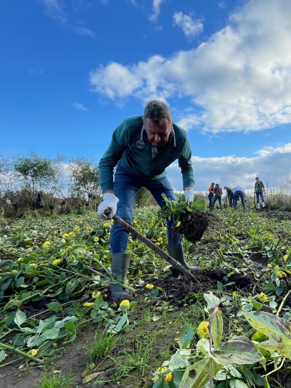 Plukhoek Mookhoek.jpg