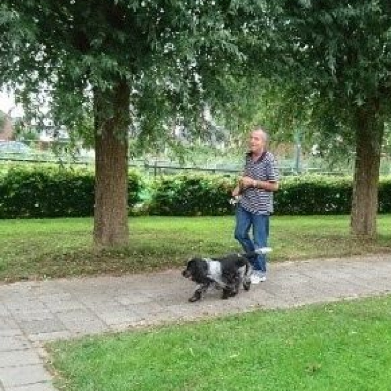 Maarten Stiggelbout.jpg