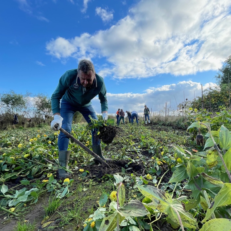 Plukhoek Mookhoek.jpg