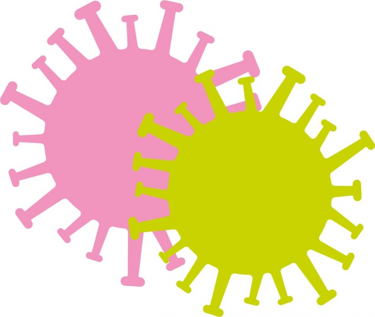 Prof. dr. Frans Verhey