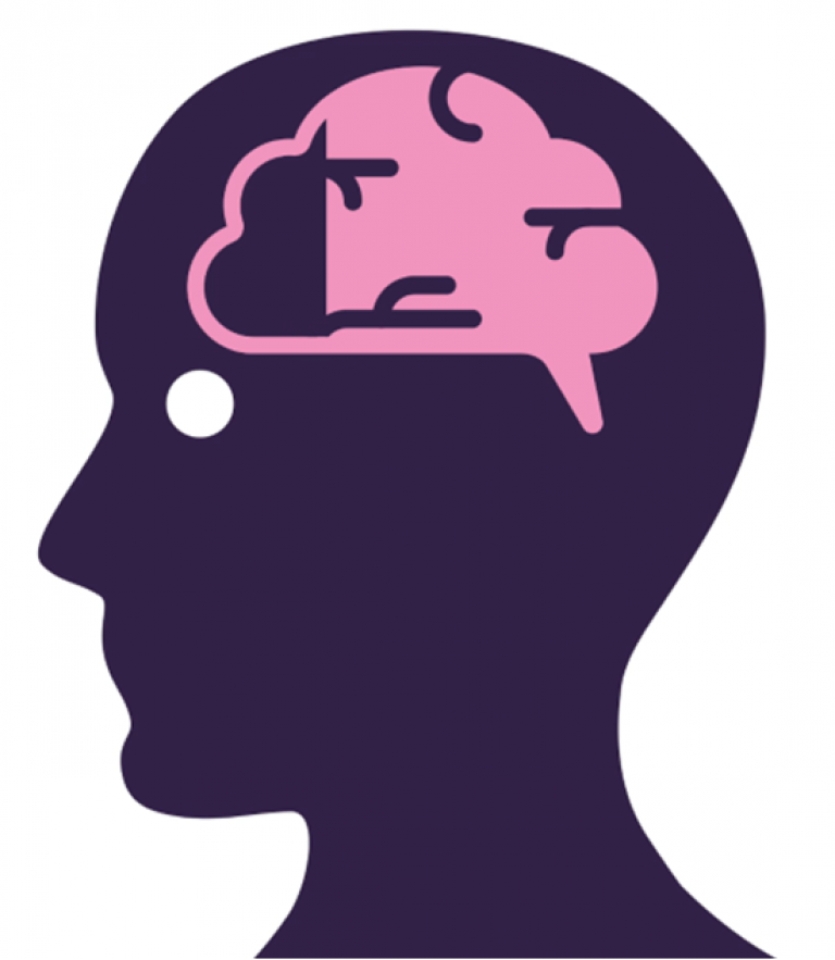 Hersenen 30 procent.png